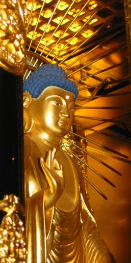 �@�� ����ɔ@��