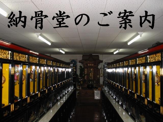 �@�� �[�����ē�